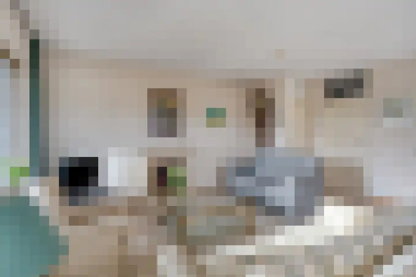 Roode Leeuw 6 Schoorl thumbnail 17
