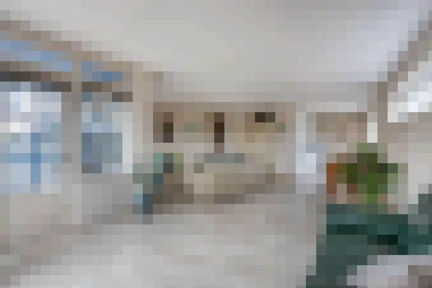 Roode Leeuw 6 Schoorl thumbnail 20