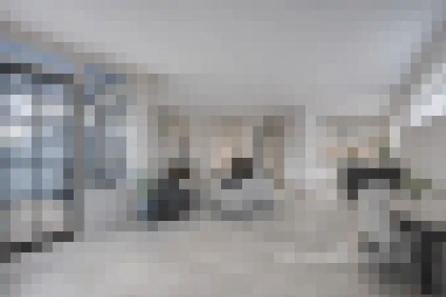 Roode Leeuw 6 Schoorl thumbnail 21