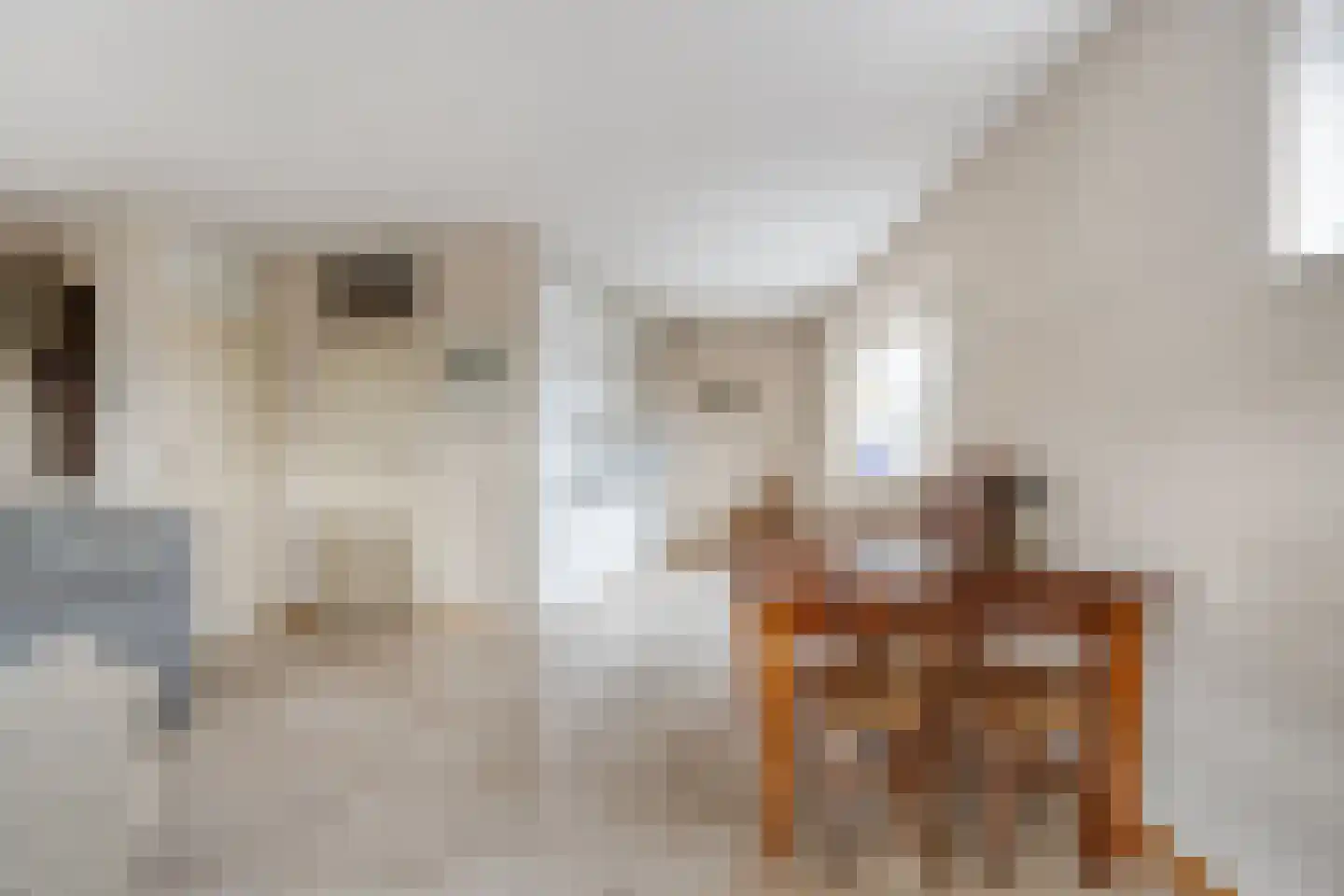 Roode Leeuw 6 Schoorl thumbnail 22
