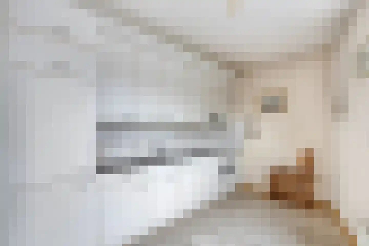 Roode Leeuw 6 Schoorl thumbnail 23