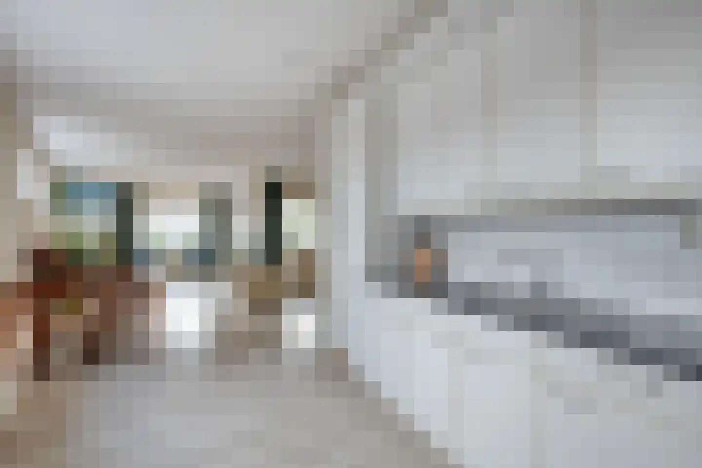 Roode Leeuw 6 Schoorl thumbnail 24