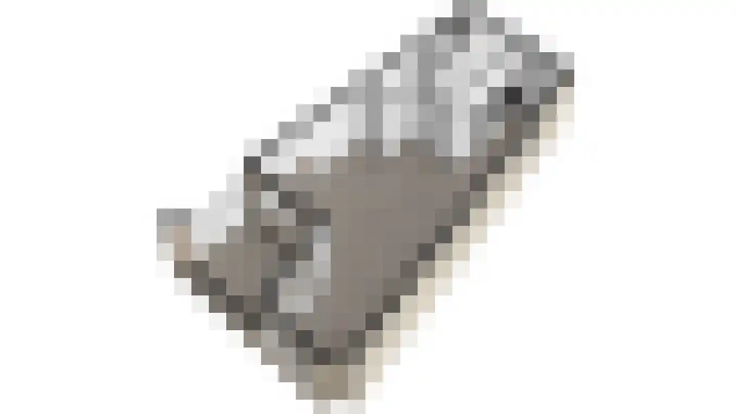Roode Leeuw 6 Schoorl thumbnail 29