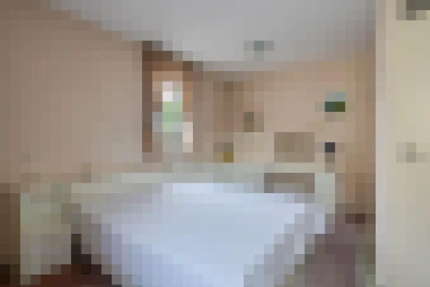 Roode Leeuw 6 Schoorl thumbnail 31