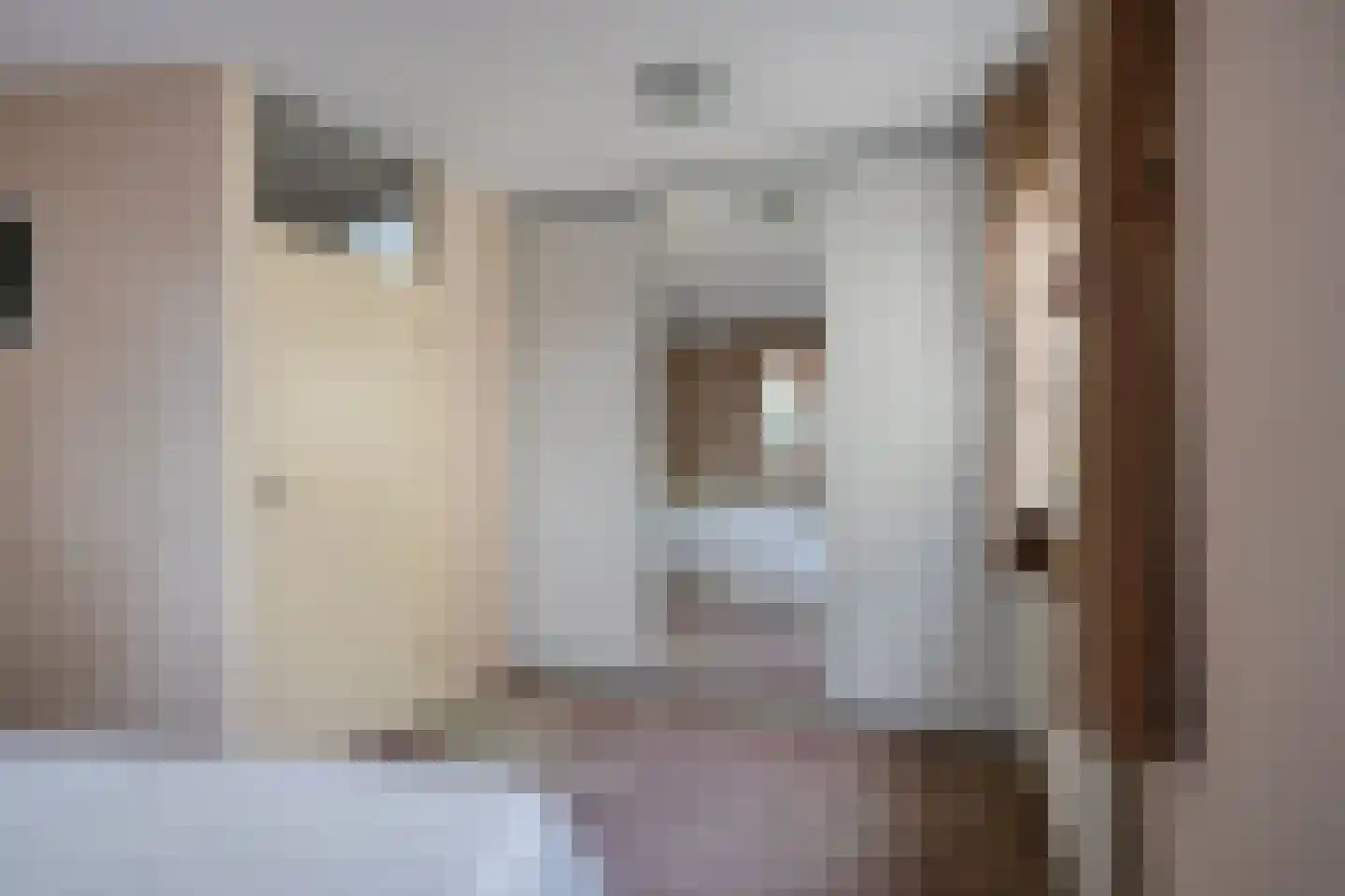 Roode Leeuw 6 Schoorl thumbnail 33