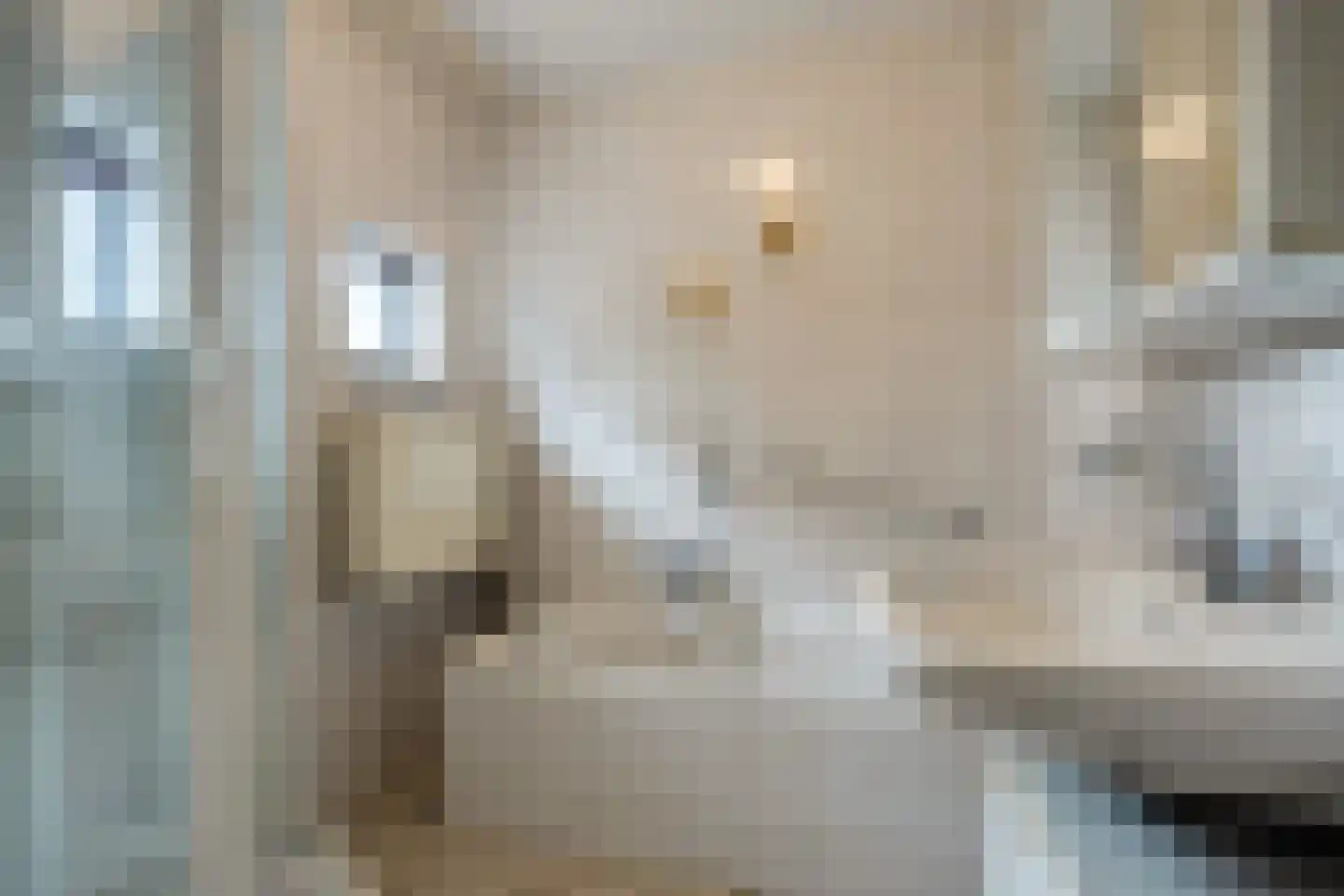 Roode Leeuw 6 Schoorl thumbnail 34