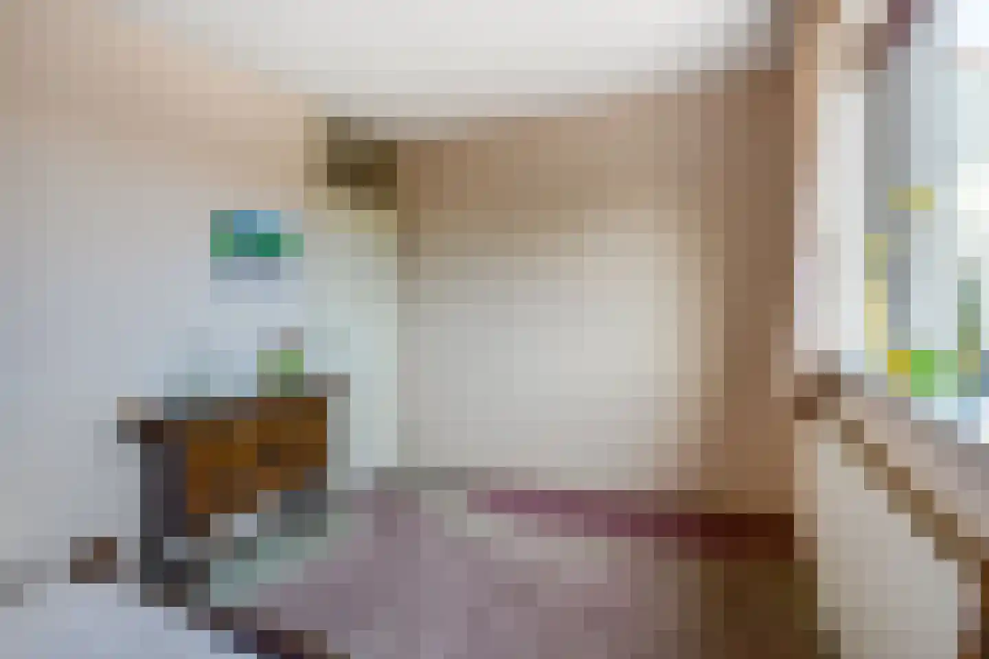 Roode Leeuw 6 Schoorl thumbnail 37