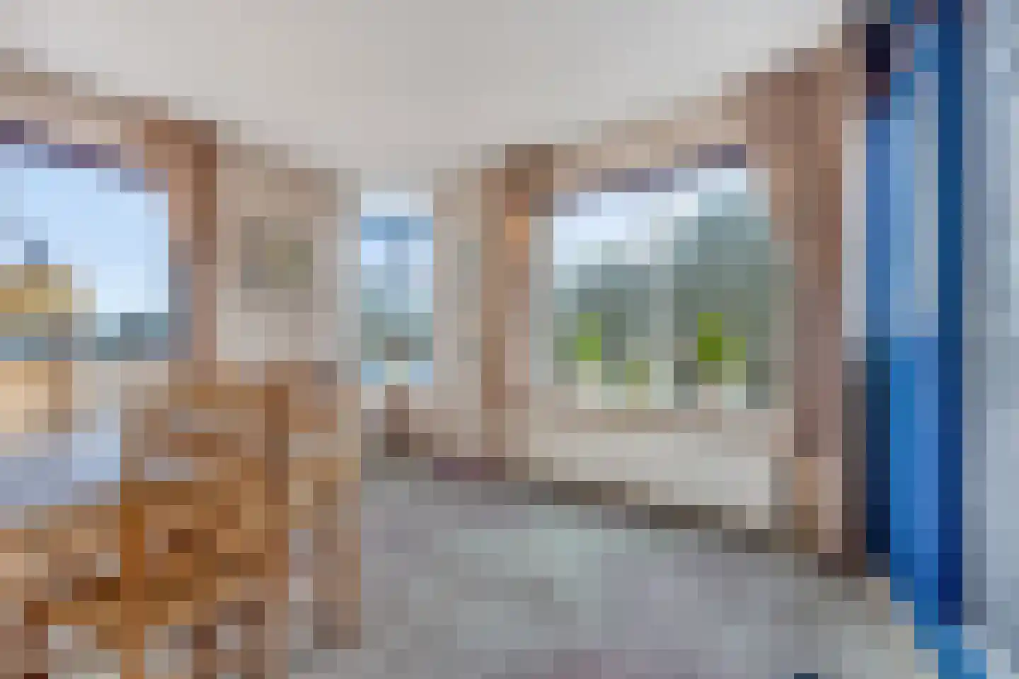 Roode Leeuw 6 Schoorl thumbnail 38