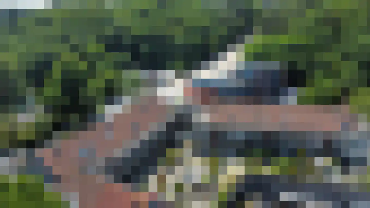 Roode Leeuw 6 Schoorl thumbnail 4
