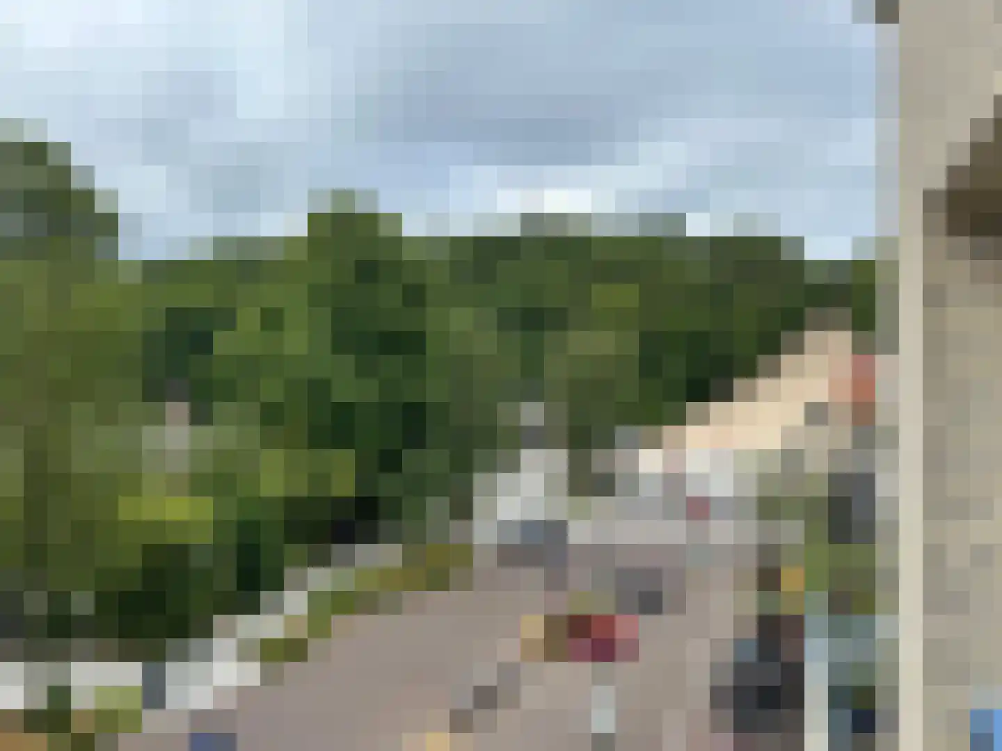 Roode Leeuw 6 Schoorl thumbnail 43