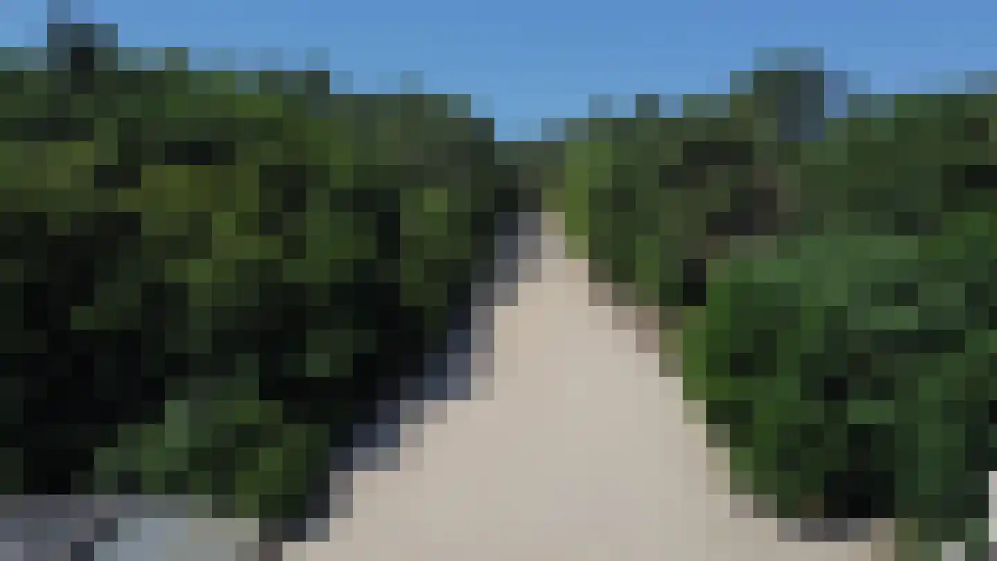 Roode Leeuw 6 Schoorl thumbnail 44