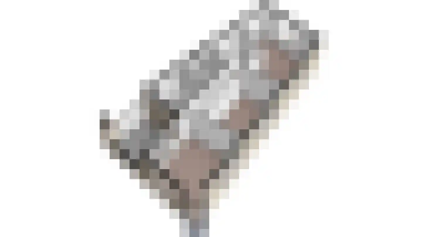 Roode Leeuw 6 Schoorl thumbnail 47