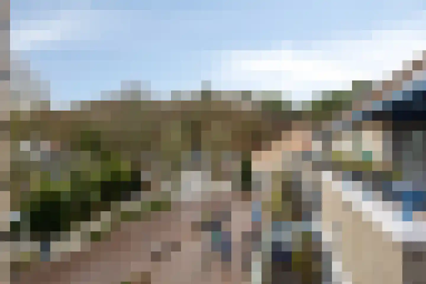 Roode Leeuw 6 Schoorl thumbnail 5