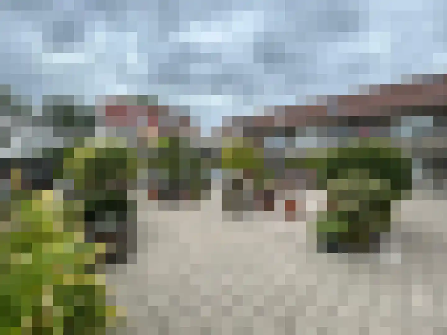 Roode Leeuw 6 Schoorl thumbnail 5