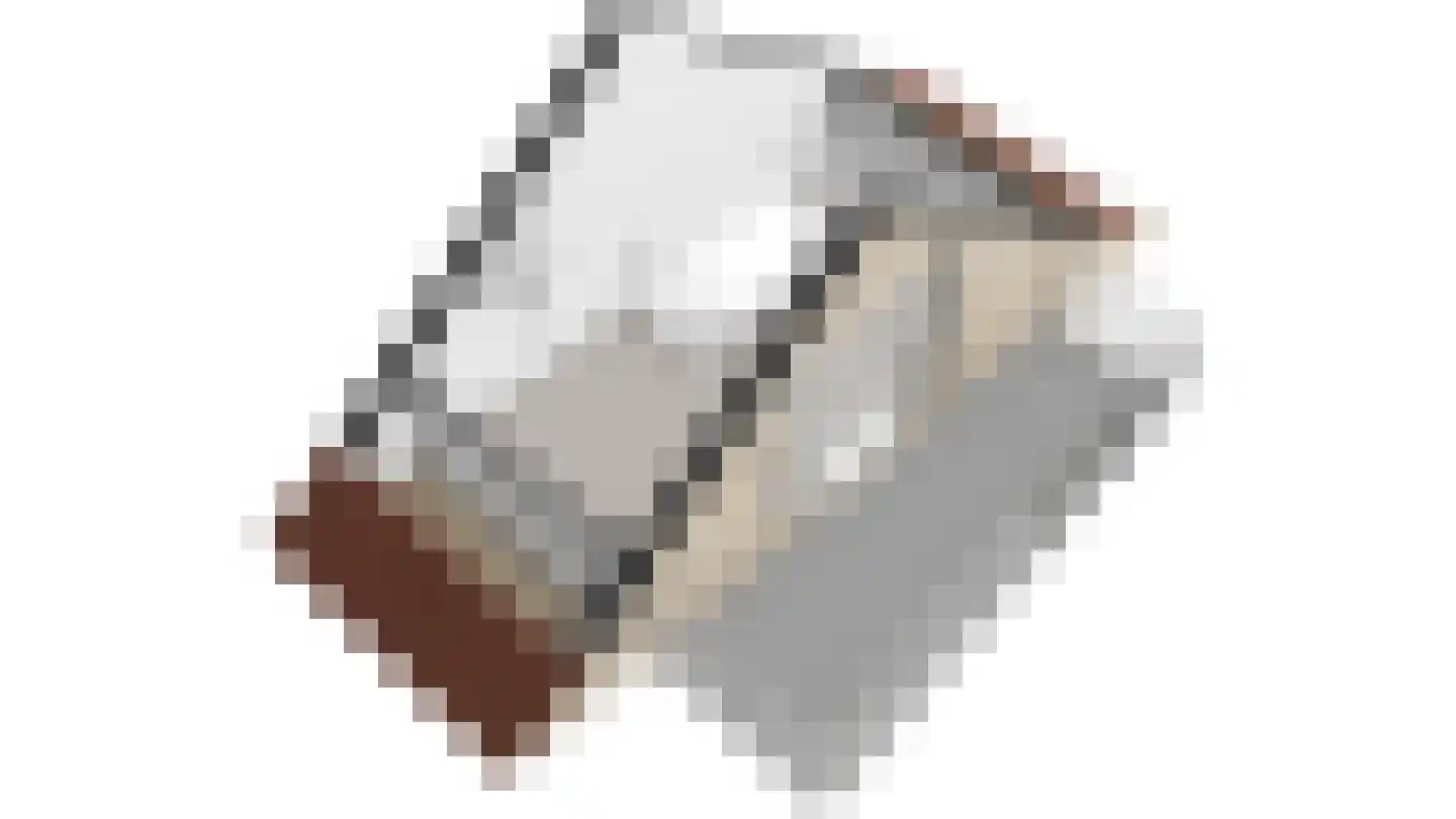 Roode Leeuw 6 Schoorl thumbnail 52