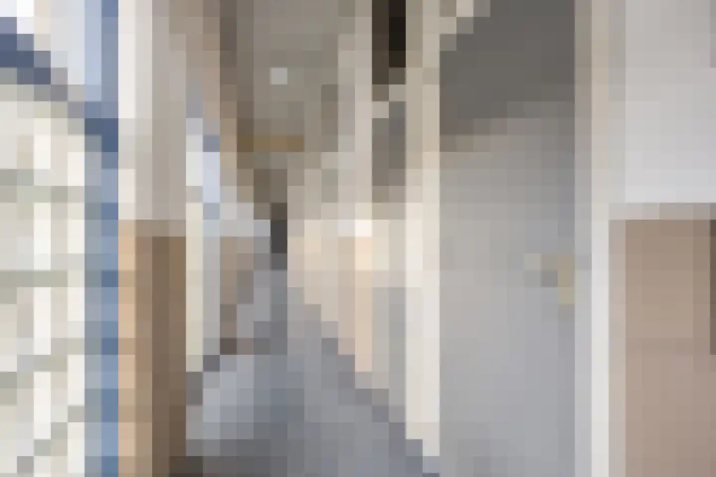 Roode Leeuw 6 Schoorl thumbnail 53