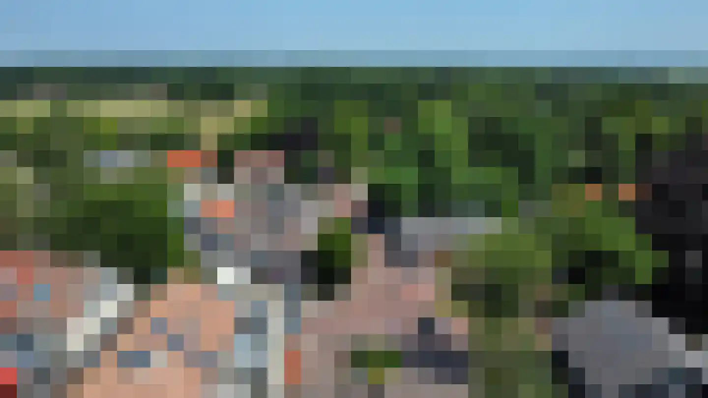 Roode Leeuw 6 Schoorl thumbnail 57