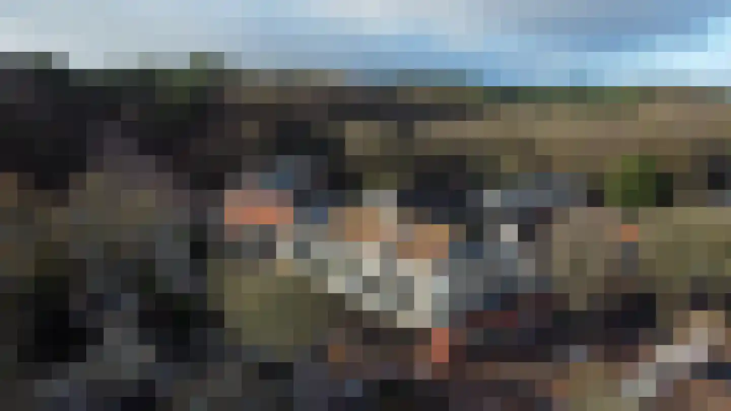 Roode Leeuw 6 Schoorl thumbnail 59