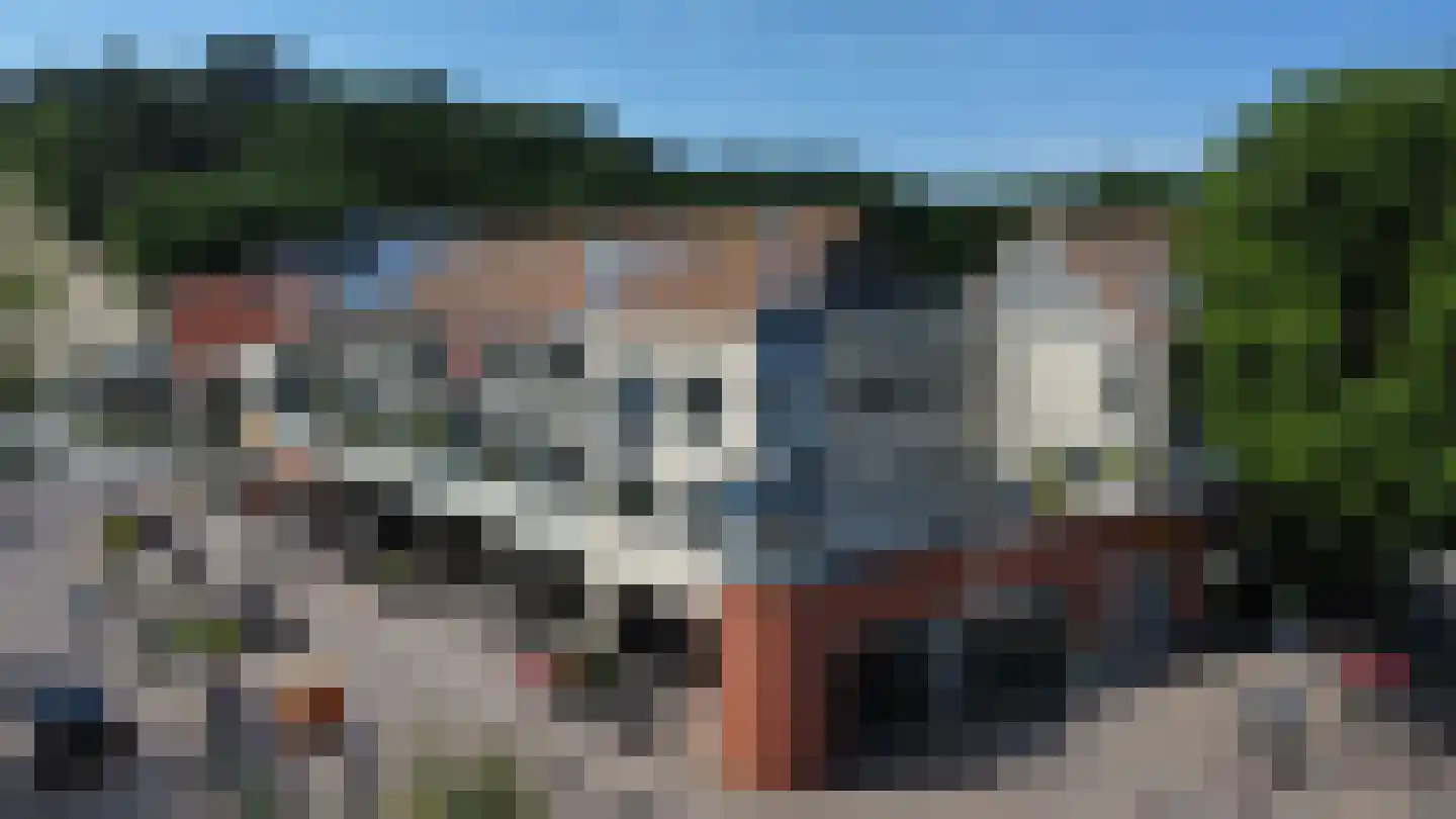 Roode Leeuw 6 Schoorl thumbnail 6