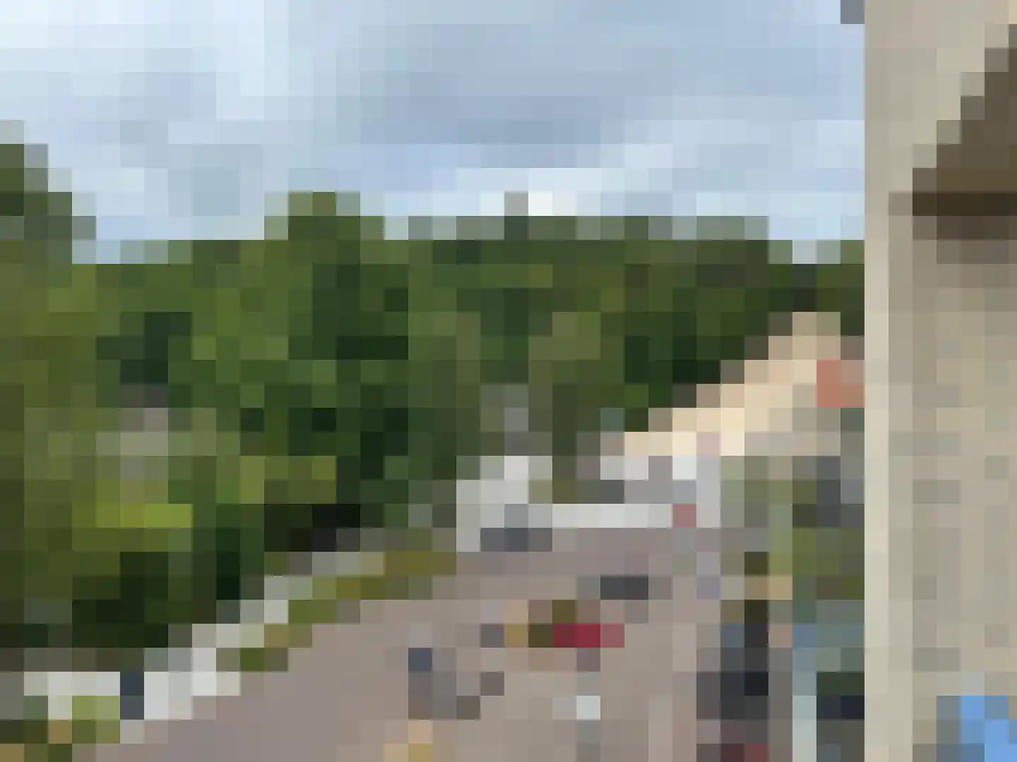 Roode Leeuw 6 Schoorl thumbnail 6