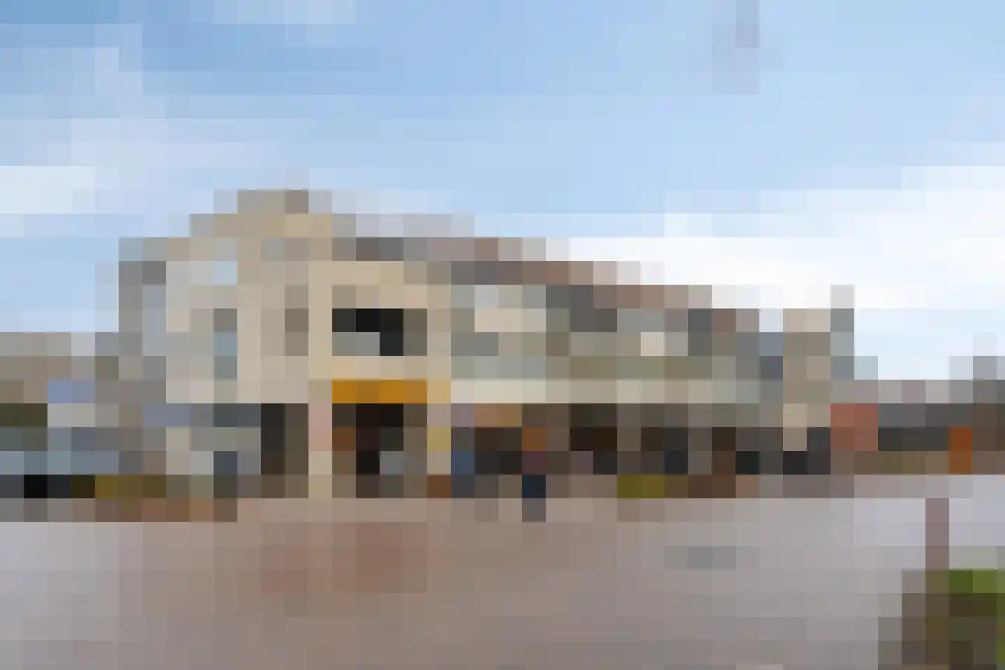 Roode Leeuw 6 Schoorl thumbnail 7