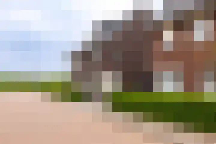 Roodenbroek 30 Doetinchem thumbnail 50