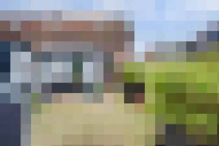 Roodenburg Vermaatstraat 37 's-Gravendeel thumbnail 28