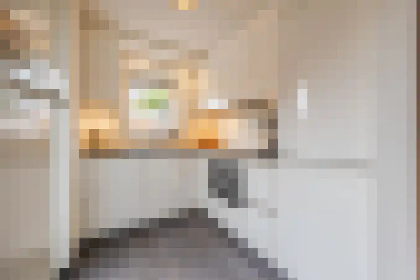 Roodeschoolstraat 105 Tilburg thumbnail 11
