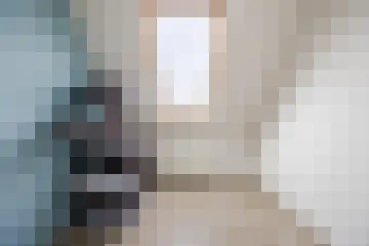 Roodeschoolstraat 105 Tilburg thumbnail 18