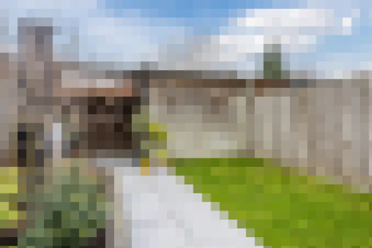 Roodeschoolstraat 105 Tilburg thumbnail 26
