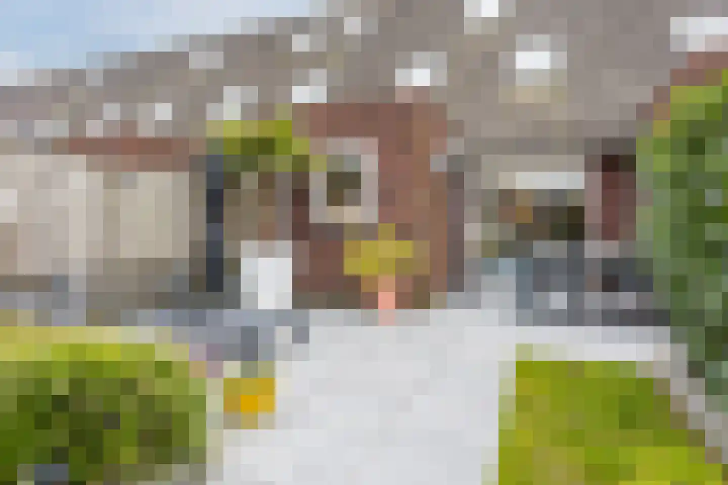 Roodeschoolstraat 105 Tilburg thumbnail 30