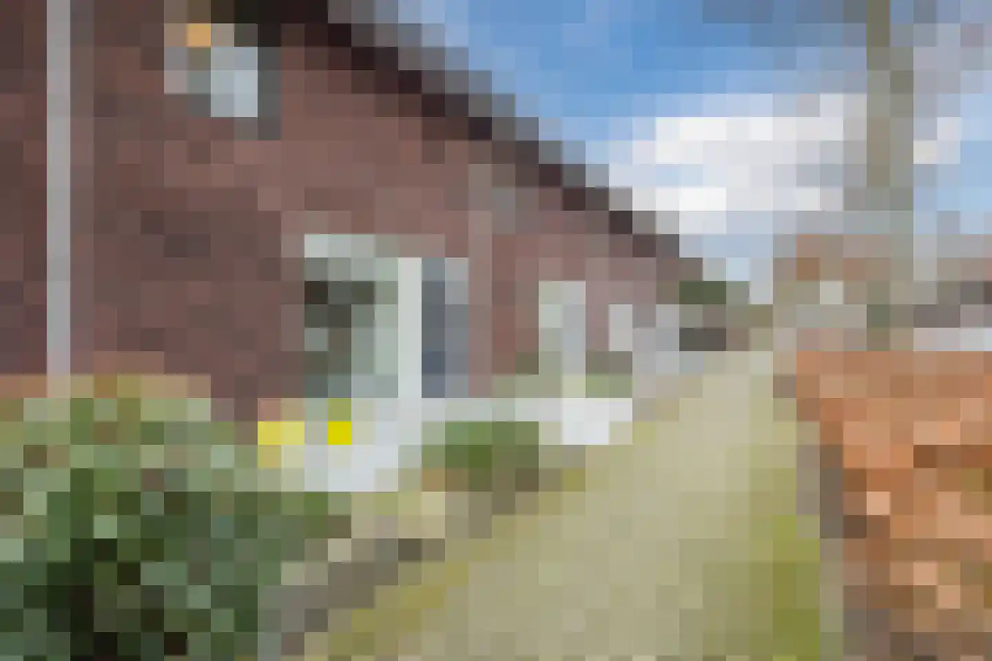 Roodeschoolstraat 105 Tilburg thumbnail 33