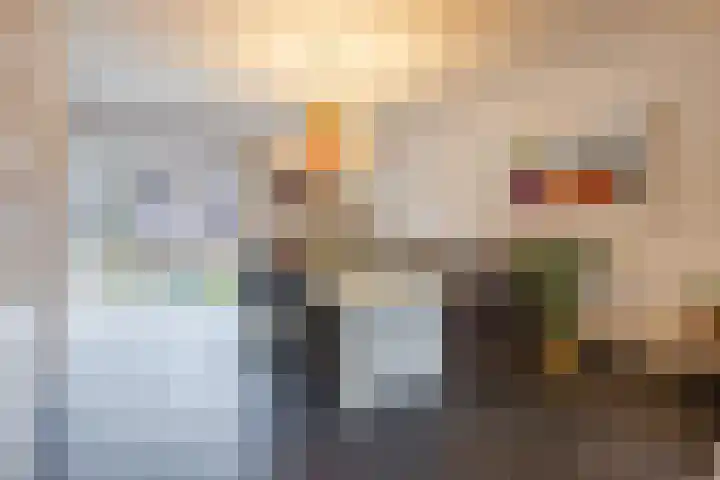 Roodeschoolstraat 105 Tilburg thumbnail 7