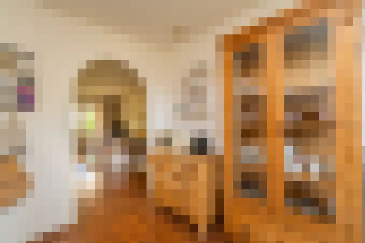 Roodeschoolstraat 13 Tilburg thumbnail 11