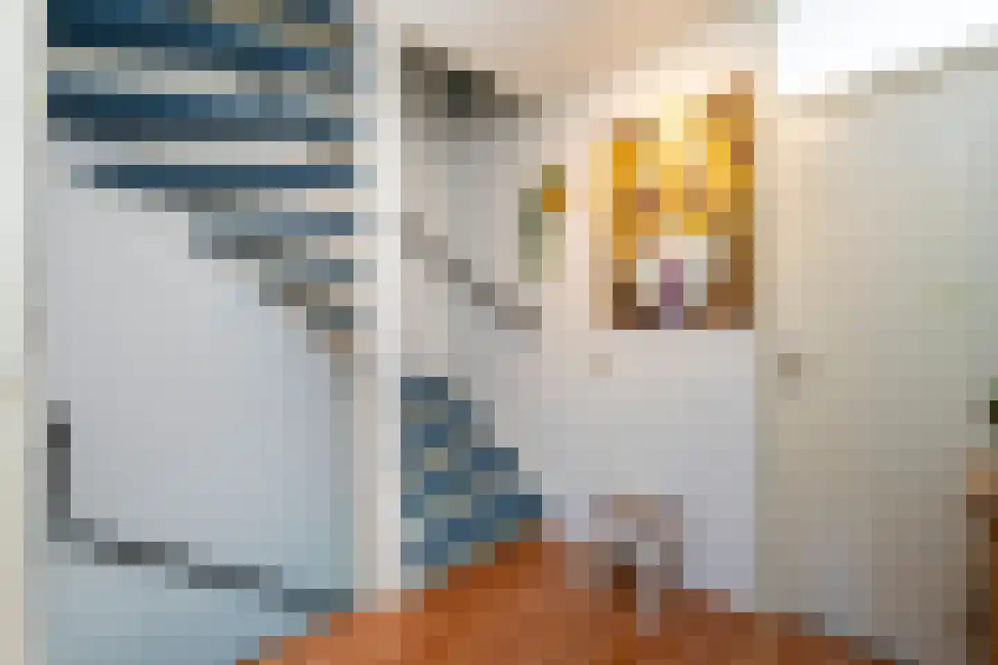 Roodeschoolstraat 13 Tilburg thumbnail 13