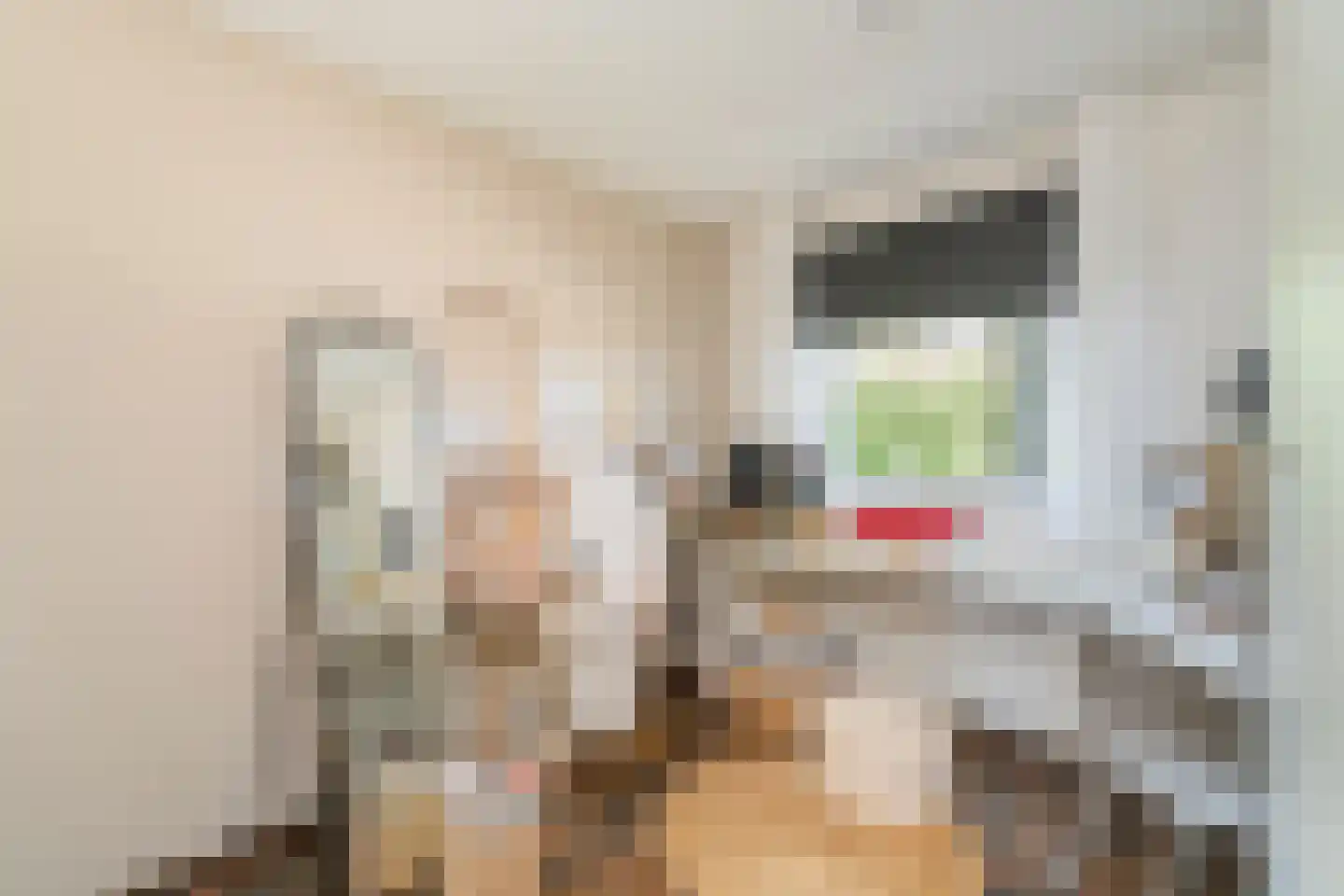 Roodeschoolstraat 13 Tilburg thumbnail 17