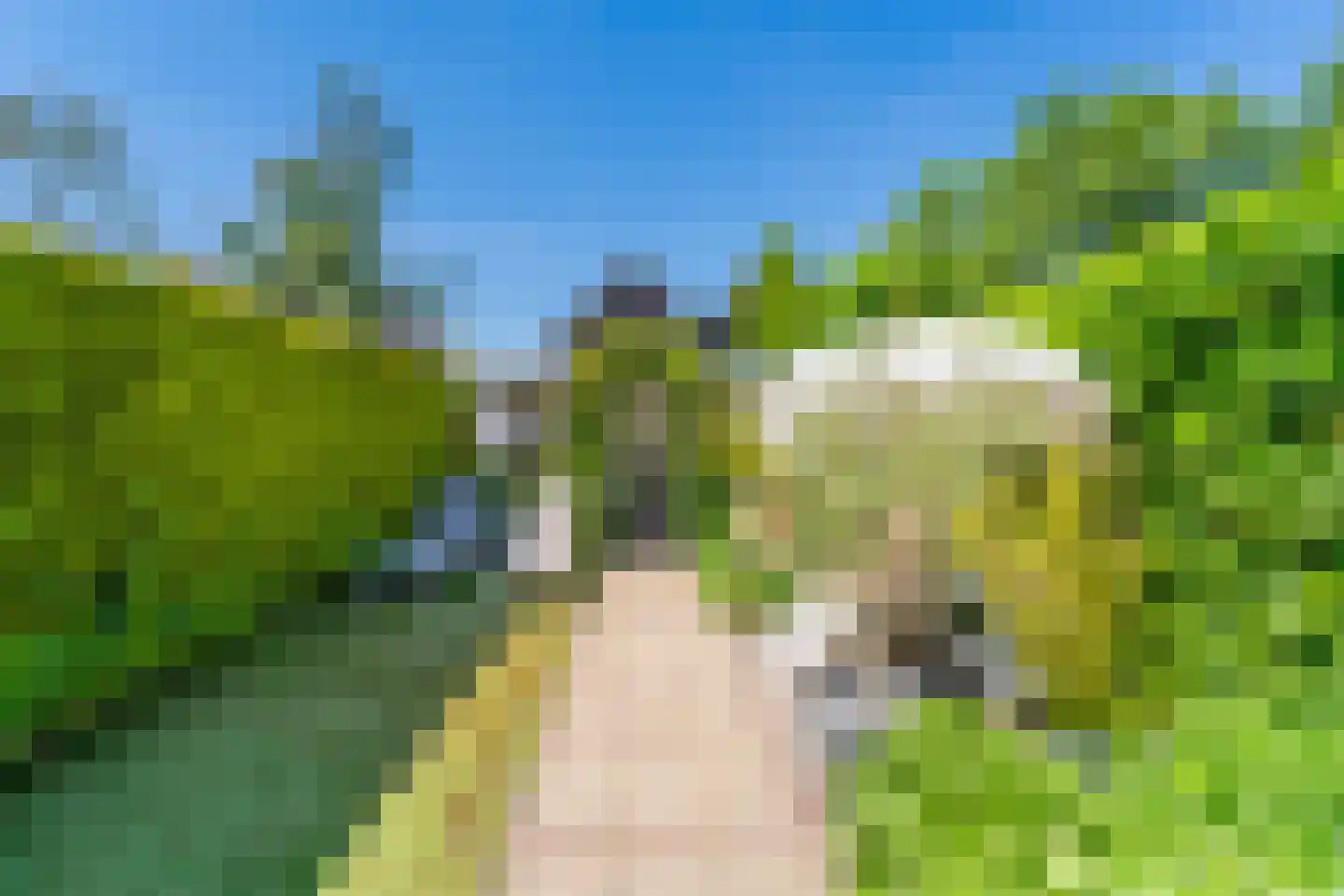 Roodeschoolstraat 13 Tilburg thumbnail 27