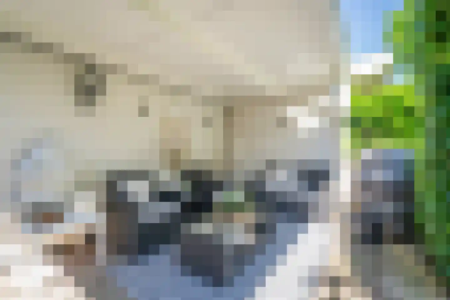 Roodeschoolstraat 13 Tilburg thumbnail 31