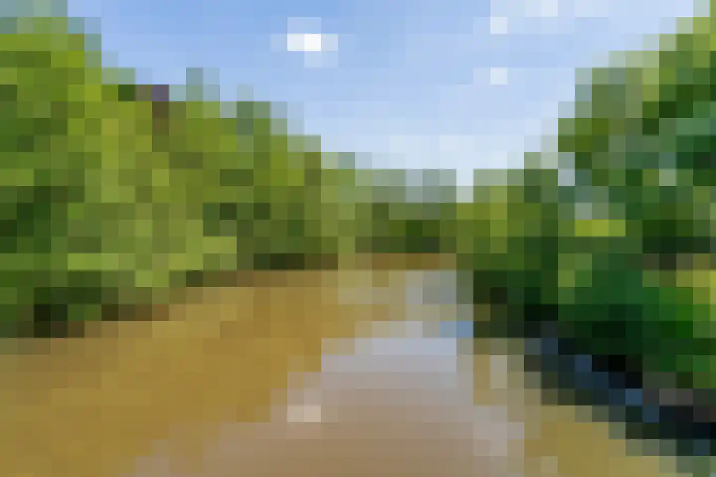 Roodeschoolstraat 13 Tilburg thumbnail 34