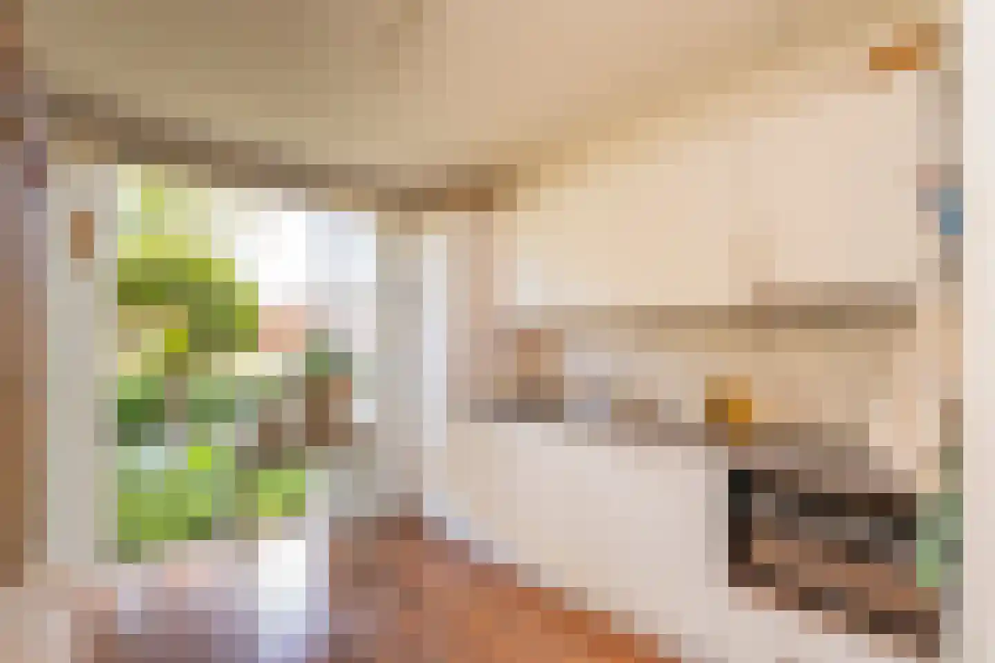 Roodeschoolstraat 13 Tilburg thumbnail 9