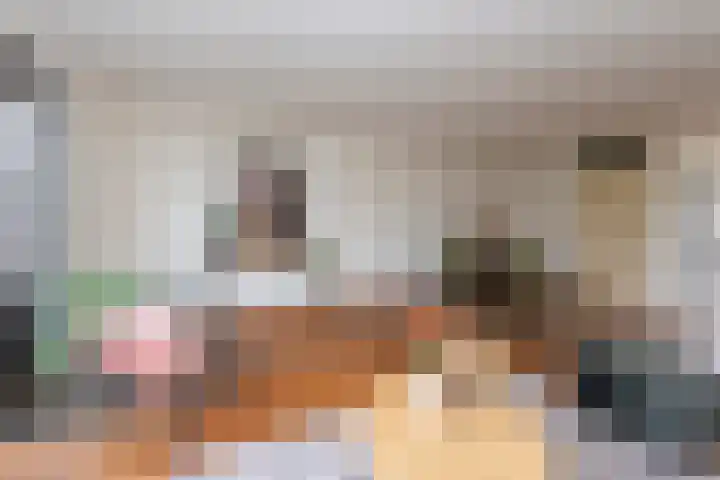 Roodeschoolstraat 23 Tilburg thumbnail 10