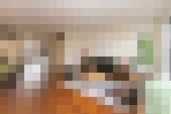 Roodeschoolstraat 23 Tilburg thumbnail 12