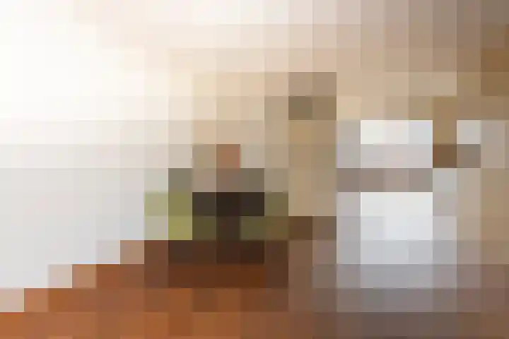 Roodeschoolstraat 23 Tilburg thumbnail 13