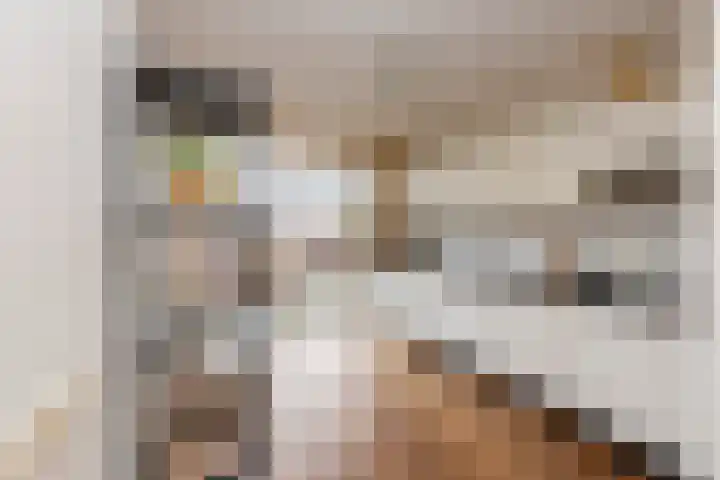 Roodeschoolstraat 23 Tilburg thumbnail 15