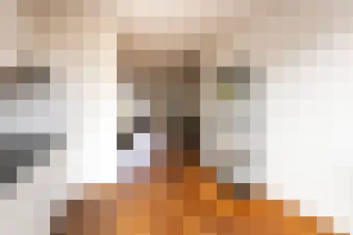 Roodeschoolstraat 23 Tilburg thumbnail 17