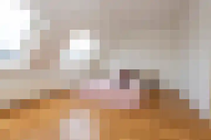Roodeschoolstraat 23 Tilburg thumbnail 20