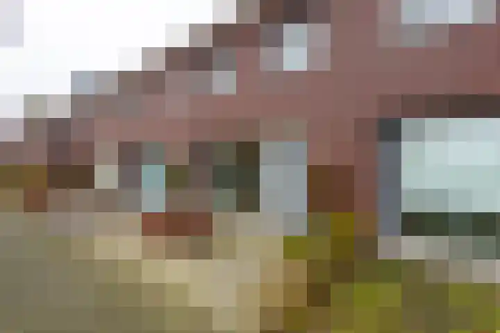 Roodeschoolstraat 23 Tilburg thumbnail 4