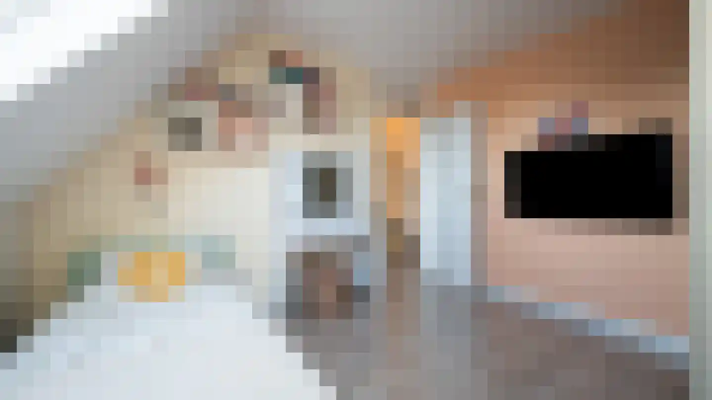 Roodeschoolstraat 26 Tilburg thumbnail 22