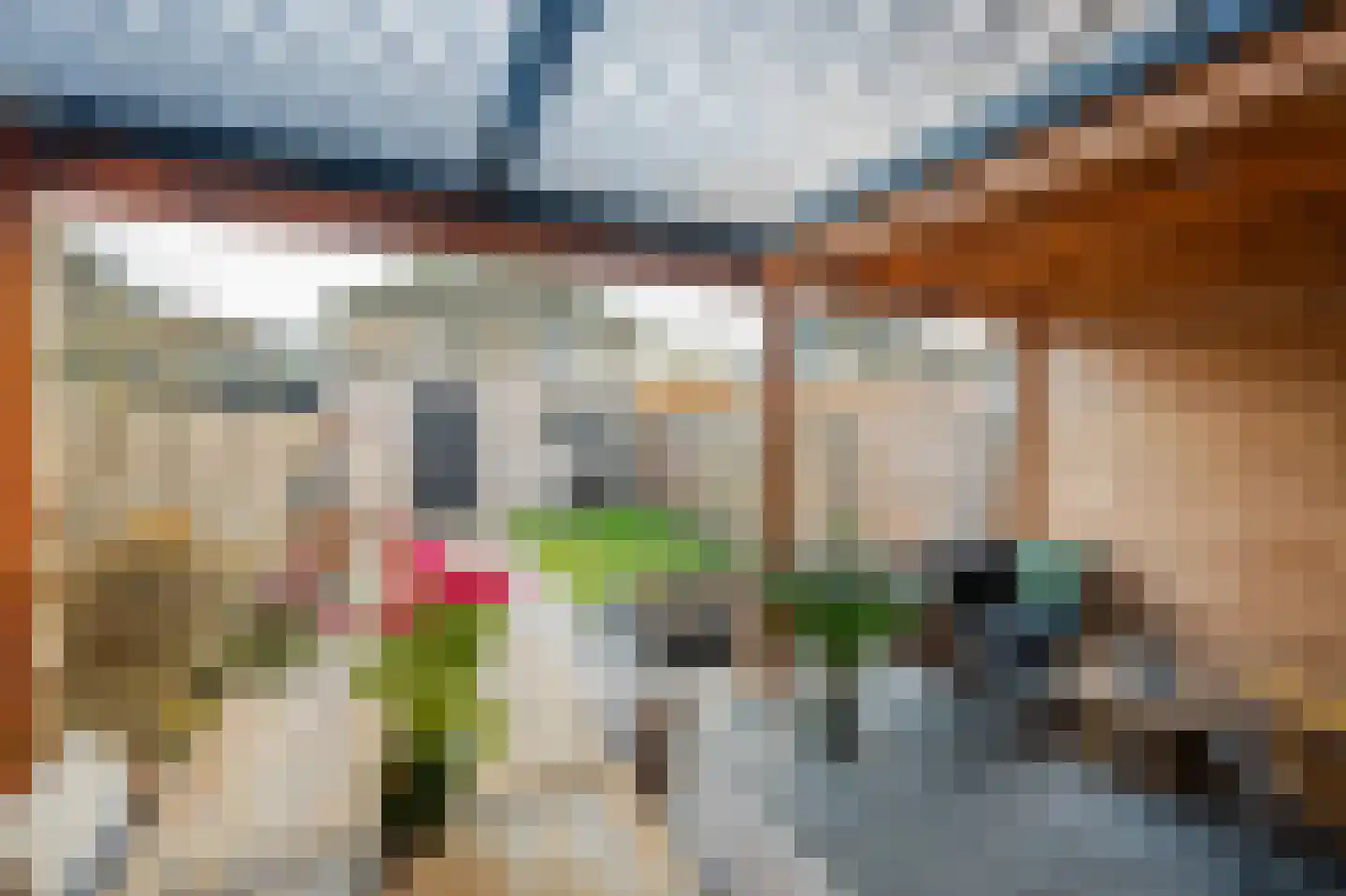 Roodeschoolstraat 26 Tilburg thumbnail 45