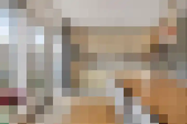 Roodeschoolstraat 34 Tilburg thumbnail 15